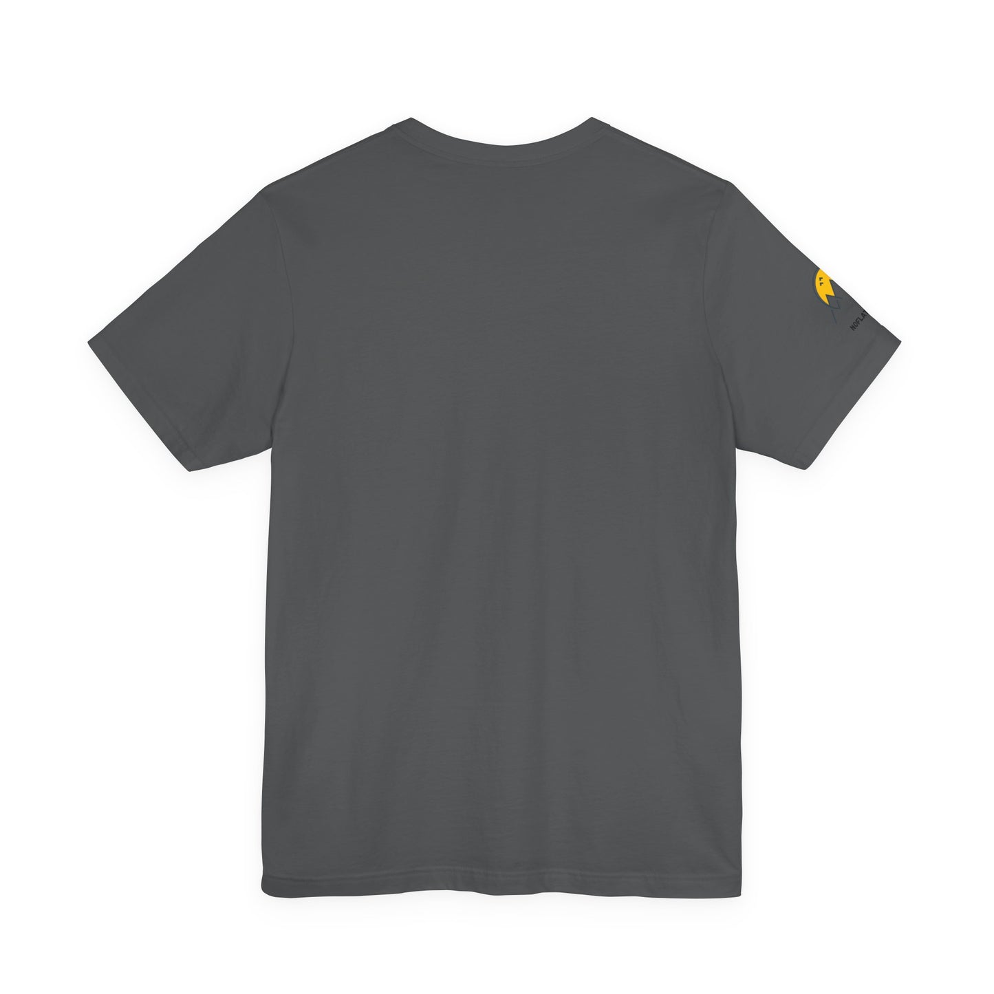 NOFLATMILES Rainier Bloom Tee – Bella+Canvas 3001 (Alpenglow Edition)